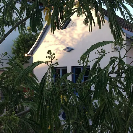 Das Nest Eisenstadt Exteriér fotografie