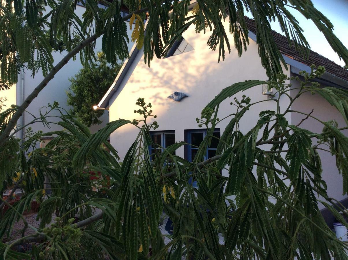 Nest Holiday home