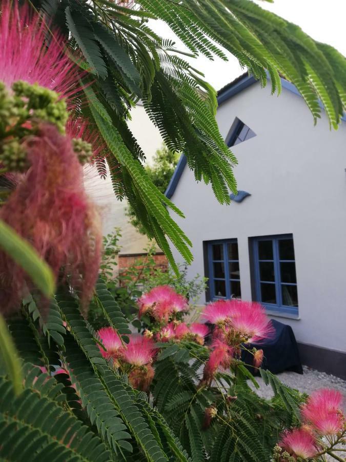 Holiday home Nest
